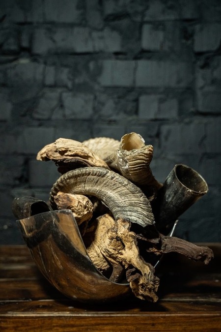 Flora Hub - локация для ивентов 