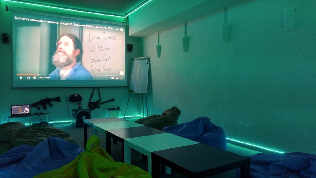 Видеозал в АнтиКафе "Олень и чай"
