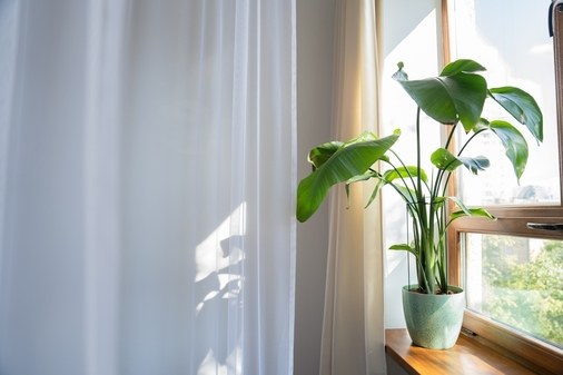 Фотостудия shobsho studio