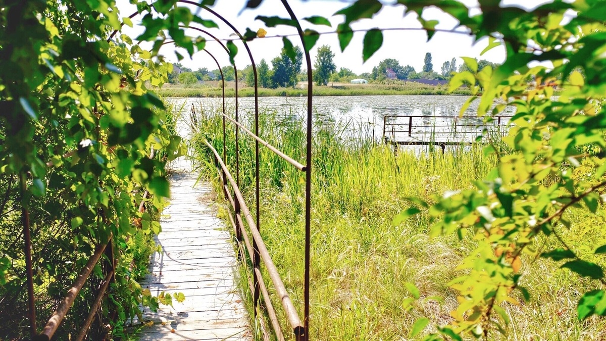 Локація біля озера з можливістю проживання