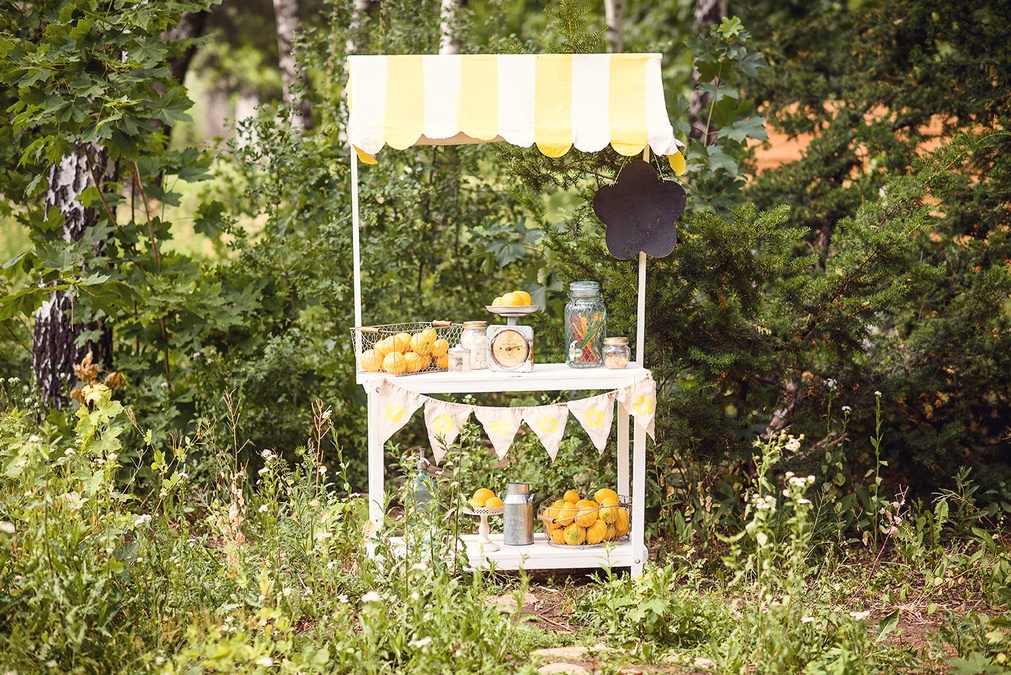 Интерьерная фотолокация на Леся Курбаса