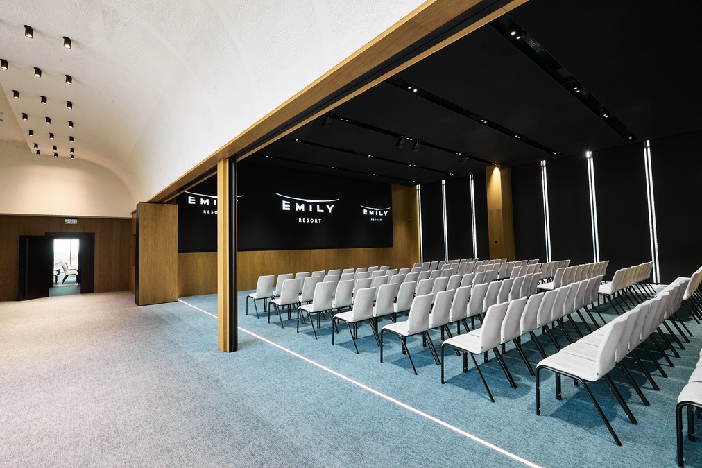 TWINS CONFERENCE ZONE