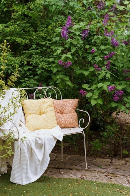 Локация САД InLight