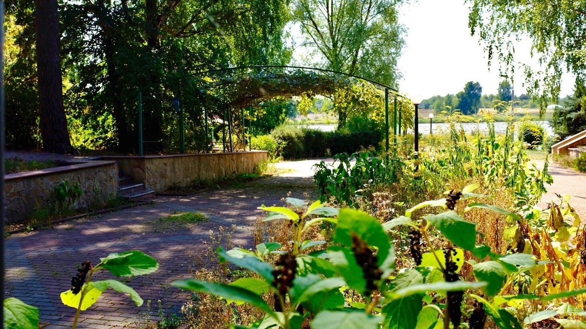 Локація біля озера з можливістю проживання