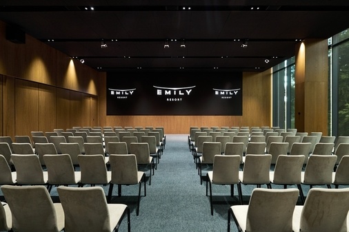 Перегляд TWINS CONFERENCE ZONE