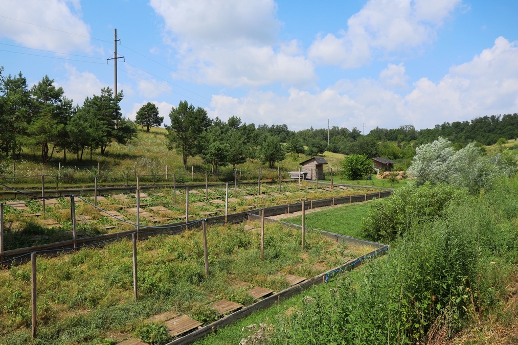 Аутентична веранда з панорамним видом