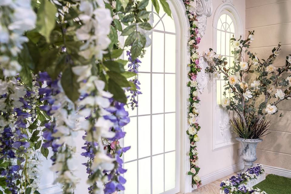 Be Free - фотостудія твоєї мрії