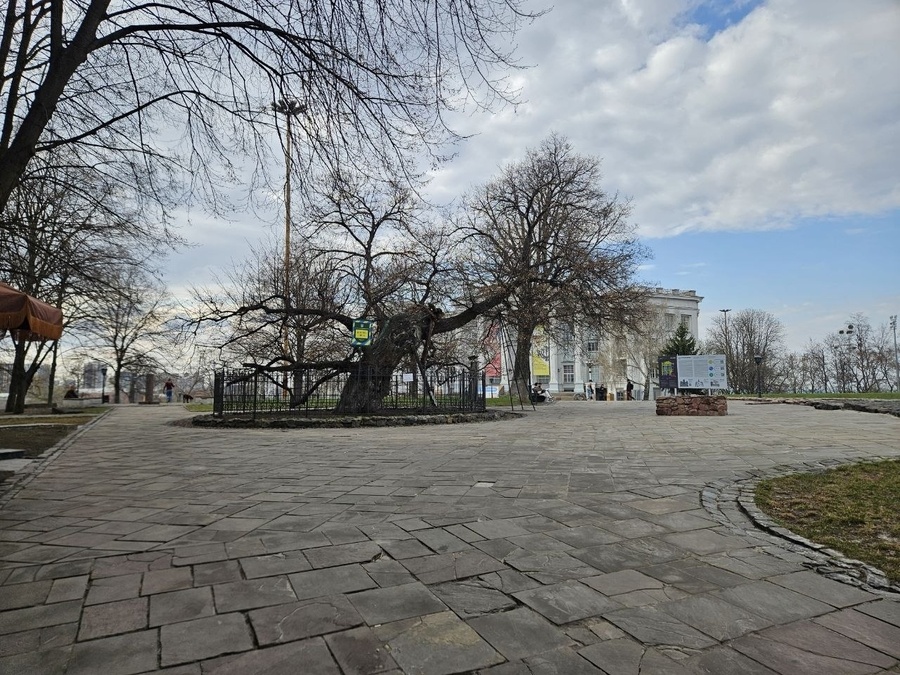 Видова локація Linden 