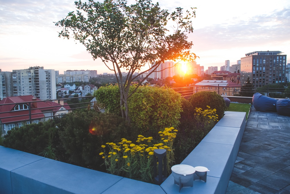 Зал с выходом на панорамную крышу RoofTop Hub