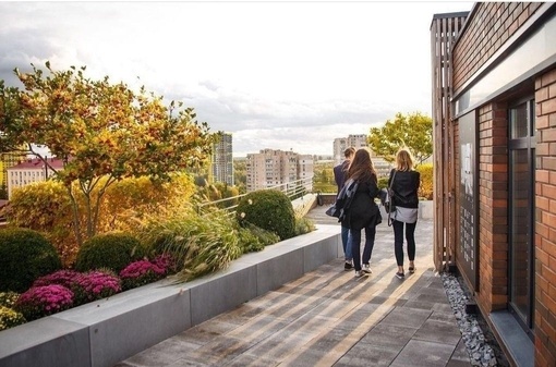 Перегляд Зала з терасою Art Hub 