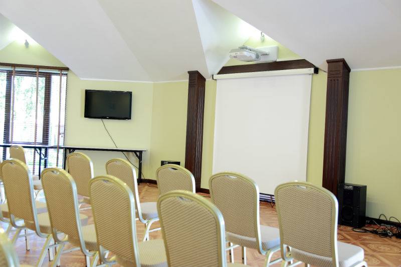 Светлый конференц зал в Княжичах