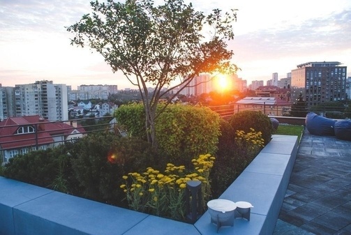 Терраса для свадьбы и Дня рождения Art Hub