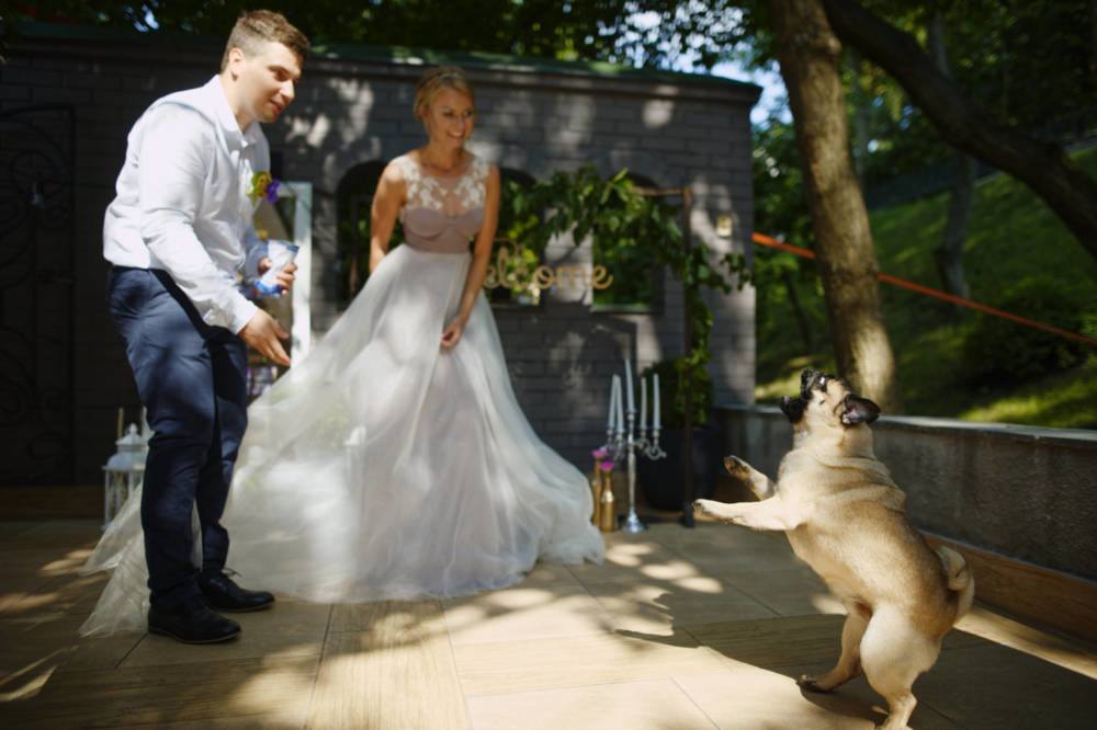 Rooftop панорамная терраса в бутик-отеле