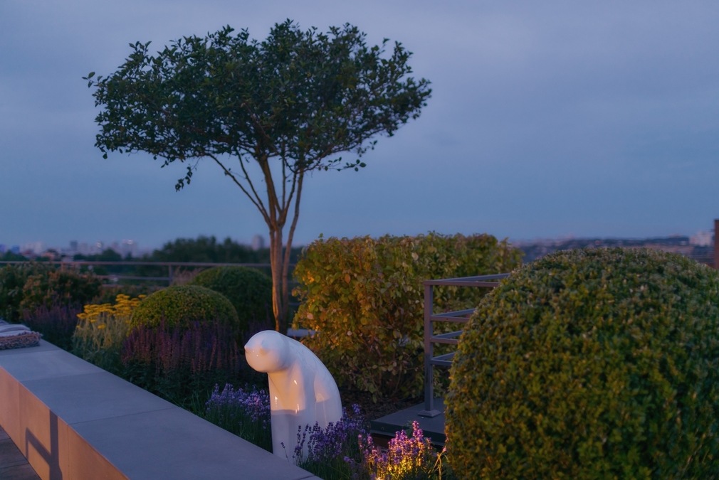 Зал с выходом на панорамную крышу RoofTop Hub