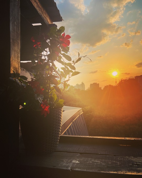 Терраса на крыше Boilernaya