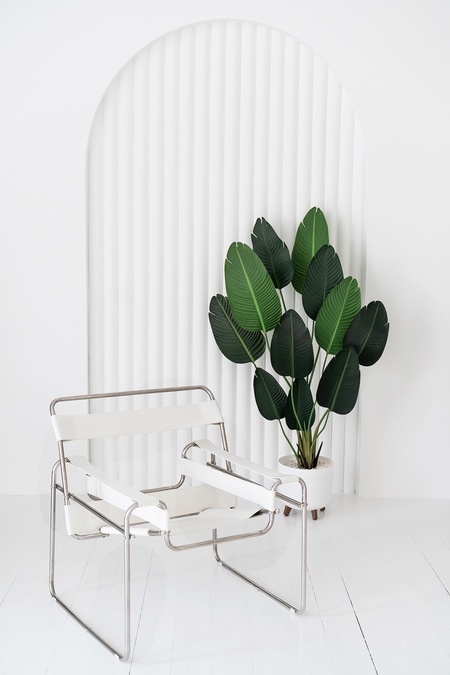 Світлий зал фотостудії VISION