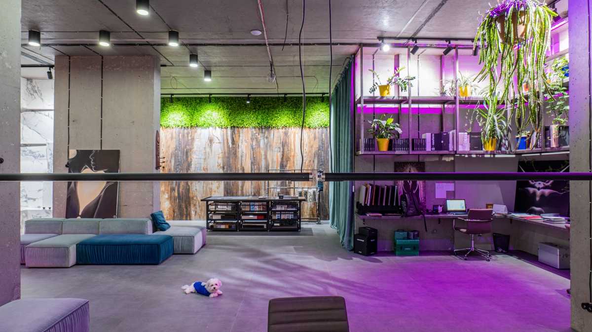 Студия для съемок, праздников и бизнес-событий