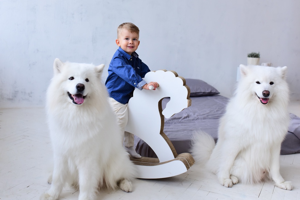 Scandinavian Space для фотозйомки в Light Studio