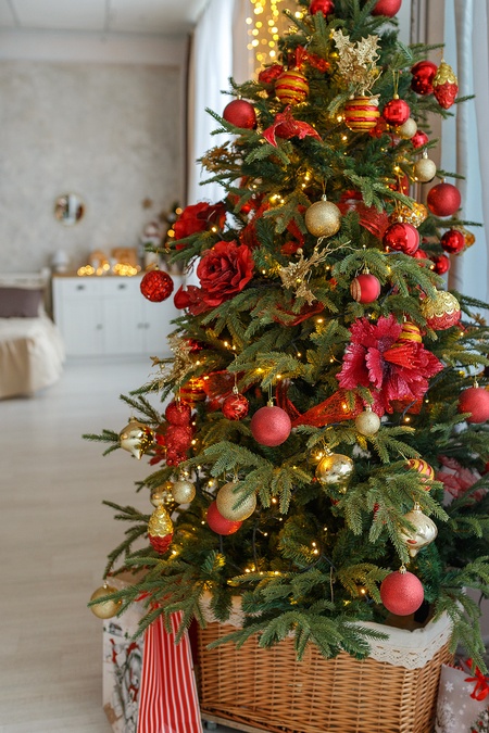 Інтер'єрна фотостудія Emotion