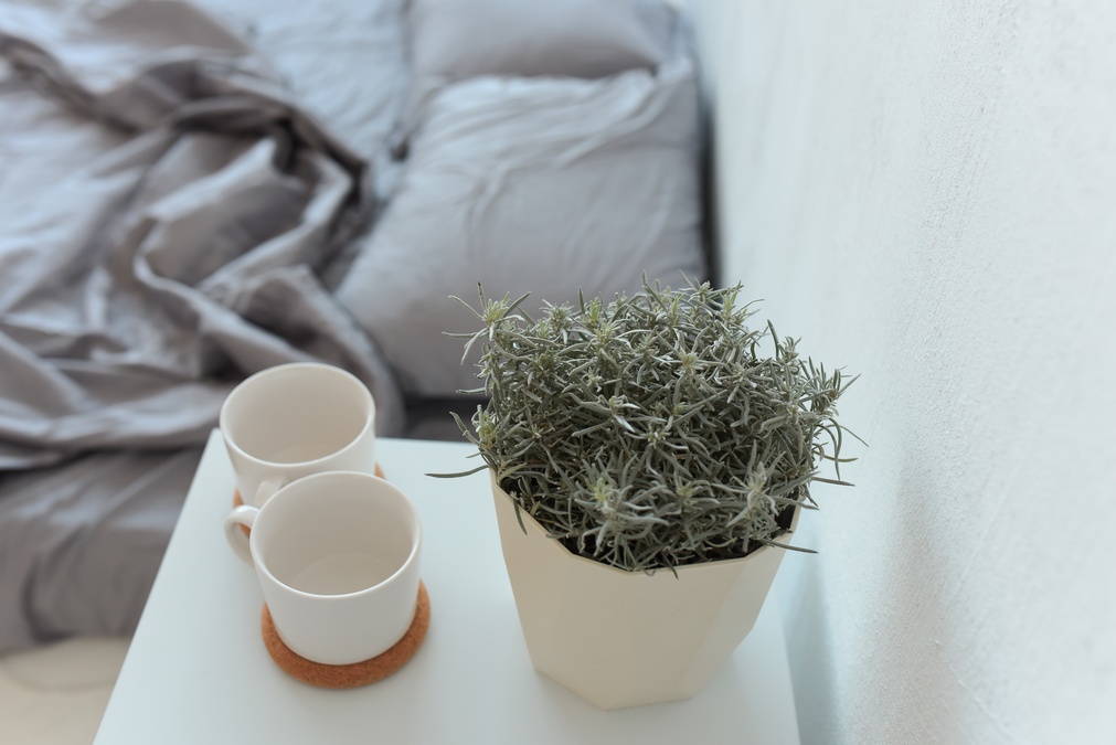 Scandinavian Space для фотозйомки в Light Studio