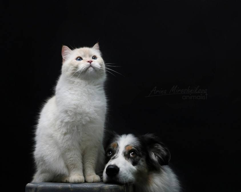 Фотостудія в стилі лофт AC Studio