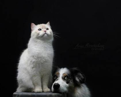 Фотостудия в стиле лофт AC Studio