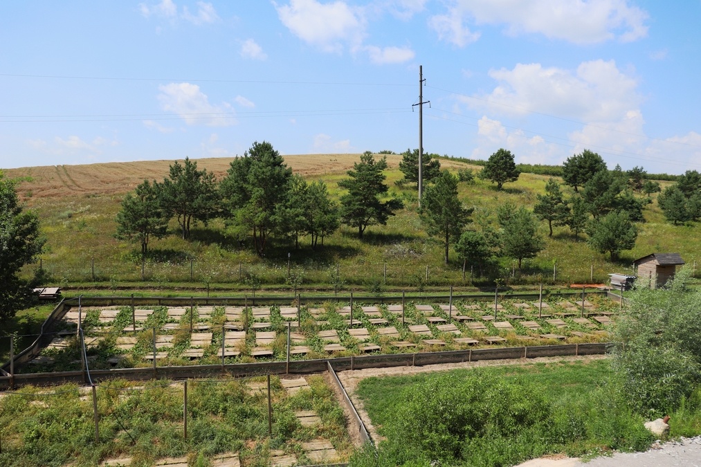 Аутентична веранда з панорамним видом