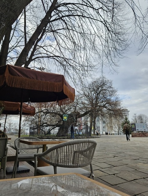 Видова локація Linden 