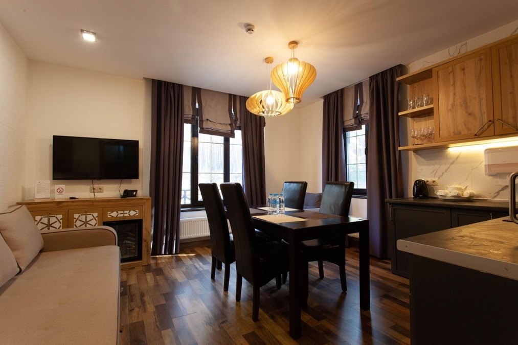 Заміський СПА готель «ШишкiNN»