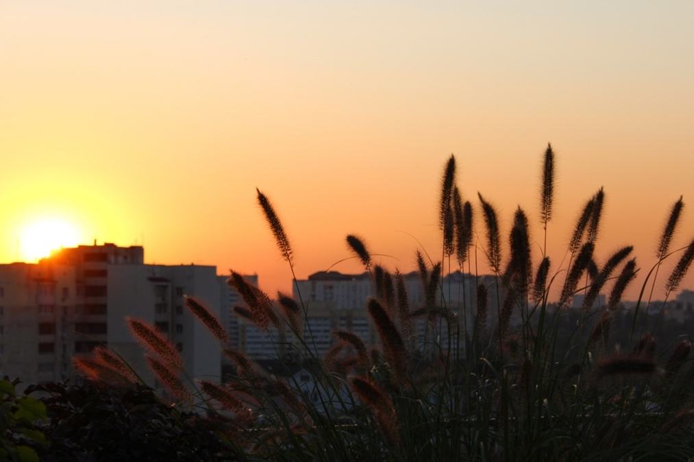 Зал с выходом на панорамную крышу RoofTop Hub