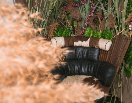 Уютная фотостудия Freewave