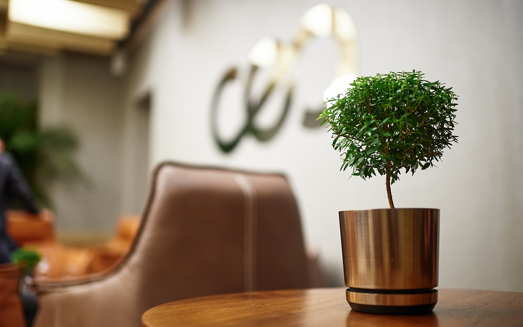 Свободная лаунж-зона для мероприятий 