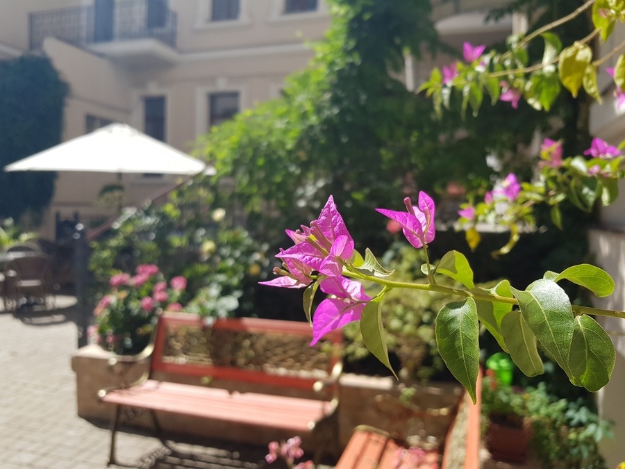 Конференц-зал в готелі Ayvazovsky hotel