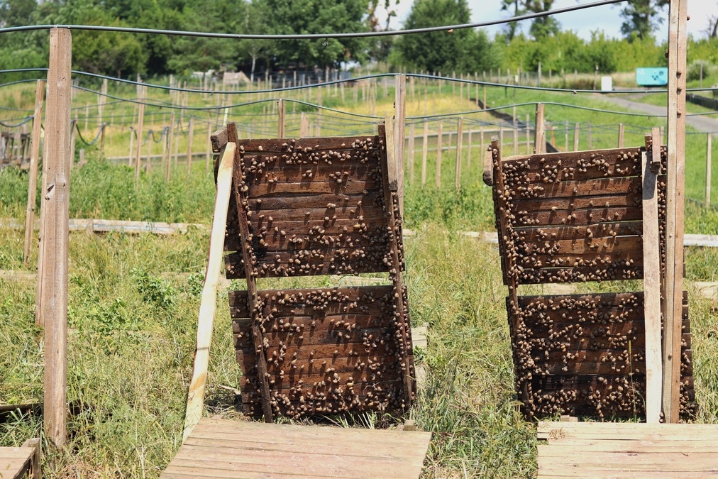 Атмосферна тераса в автентичному стилі