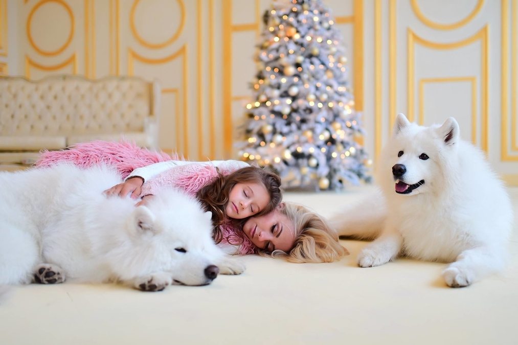 Світлий зал для фотосесій в Light Studio