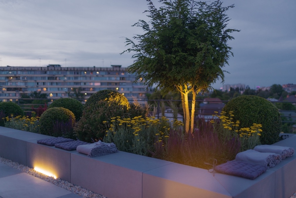 Зал с выходом на панорамную крышу RoofTop Hub