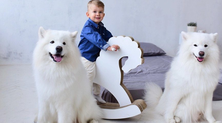 Фото ребёнка